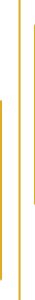 yellow accent lines in art deco style