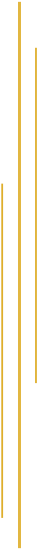 yellow thin art deco lines