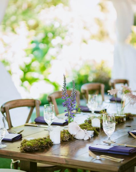 reception layout with botanical and woodsy features